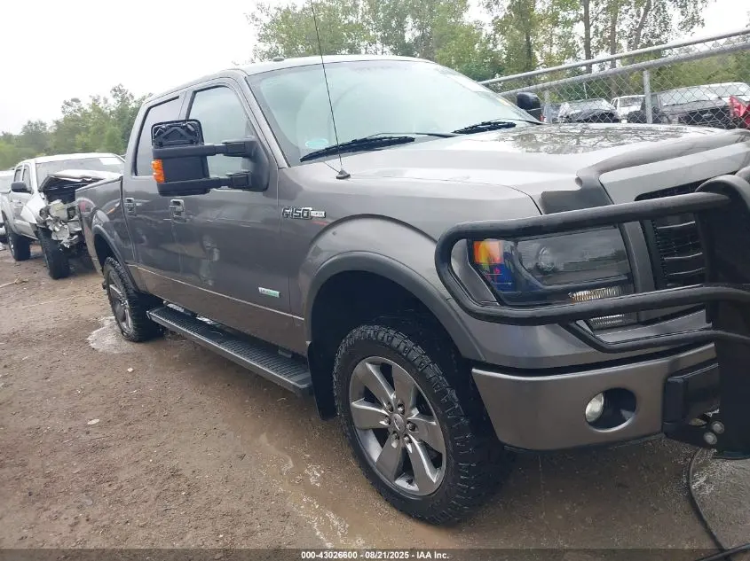 2013 FORD F-150 FX4