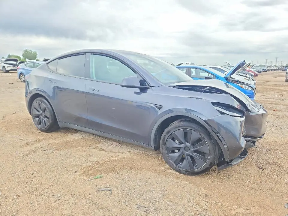 2025 TESLA MODEL Y   