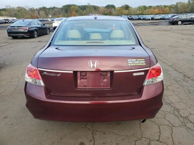 2010 HONDA ACCORD EXL  