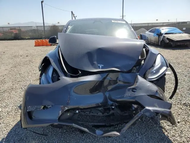 2025 TESLA MODEL Y 