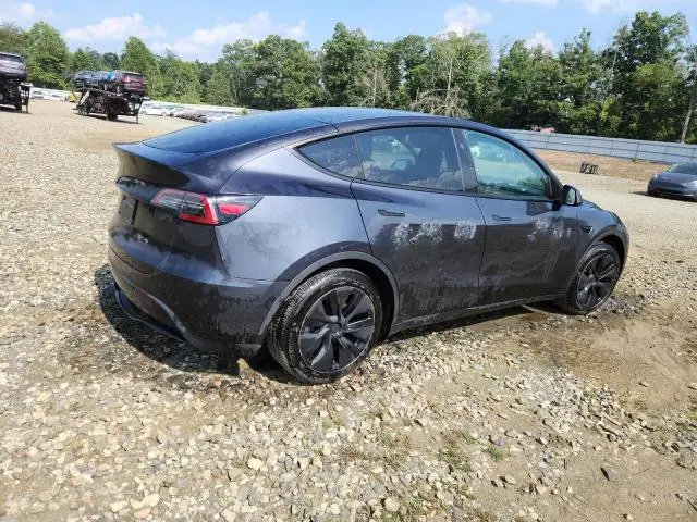 2025 TESLA MODEL Y   