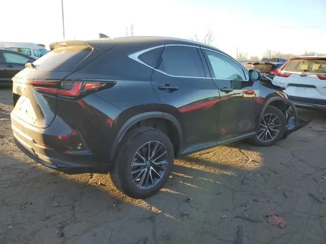 2024 LEXUS NX 350 BASE  