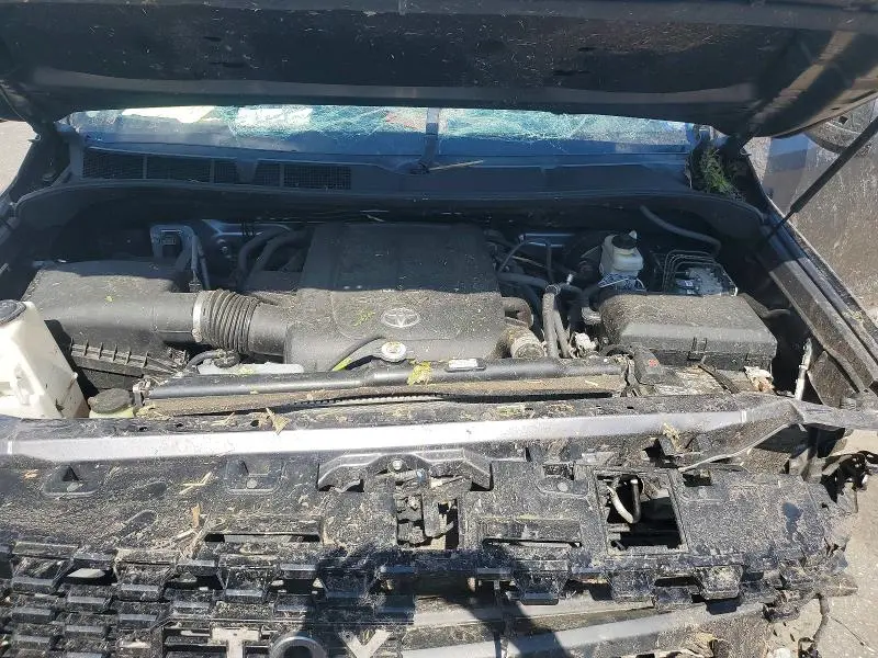 2021 TOYOTA TUNDRA TRD PRO  