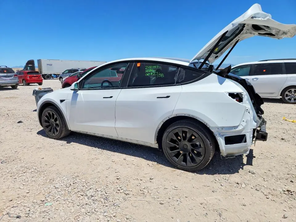 2025 TESLA MODEL Y   