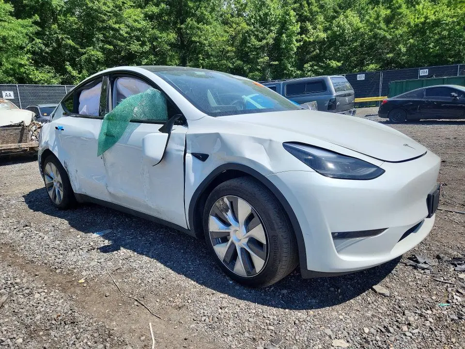 2024 TESLA MODEL Y   