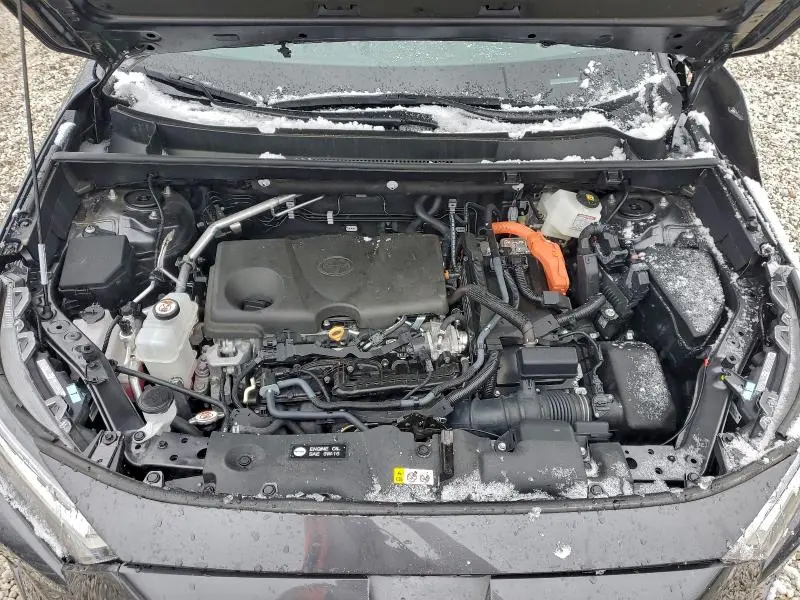 2025 TOYOTA RAV4 XLE  