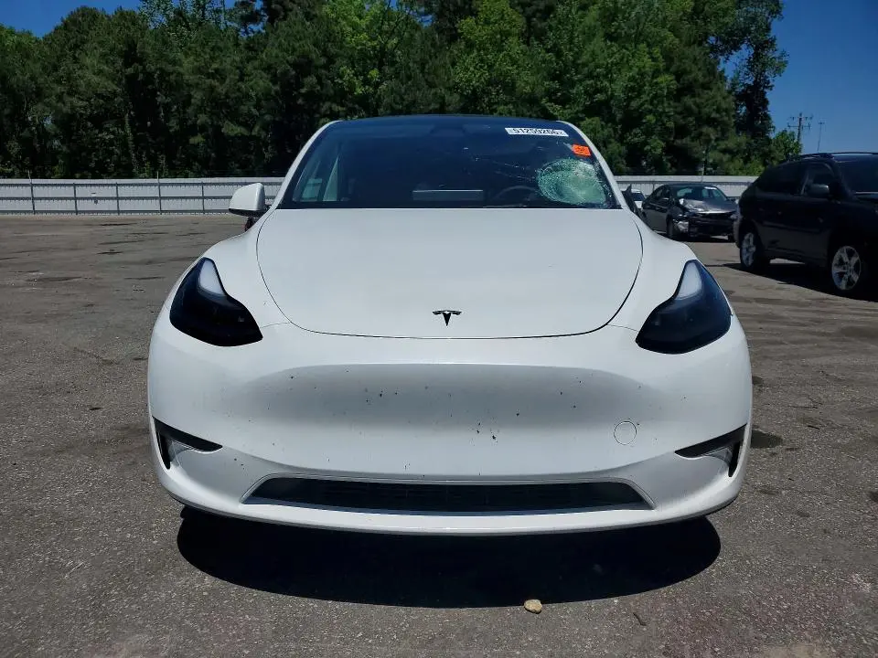 2025 TESLA MODEL Y   