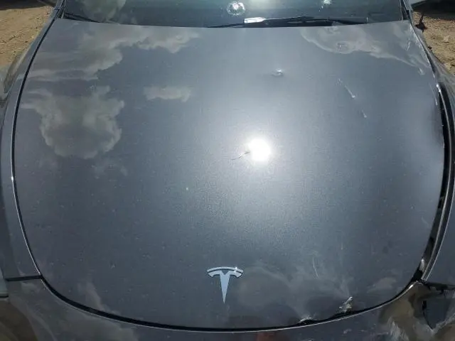 2025 TESLA MODEL Y   