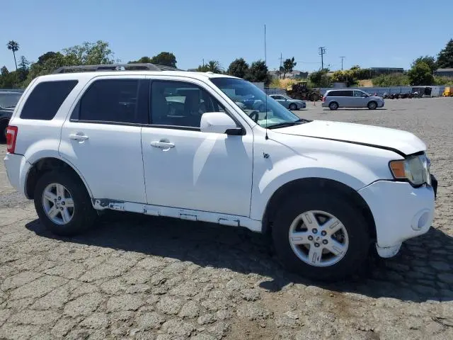 2010 FORD ESCAPE HYBRID  