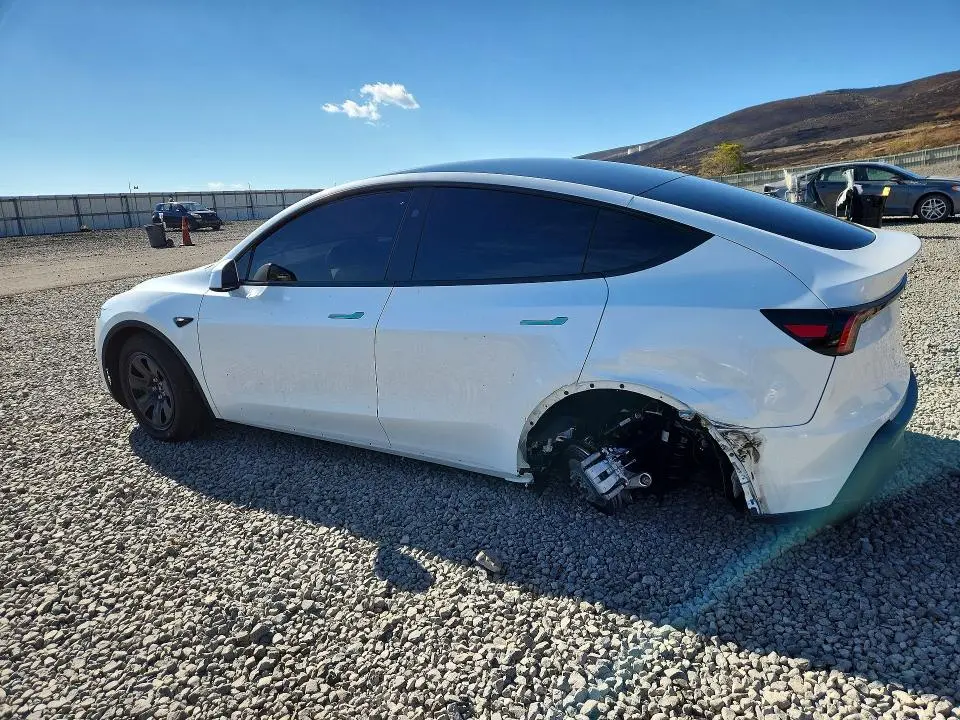 2026 TESLA MODEL Y   