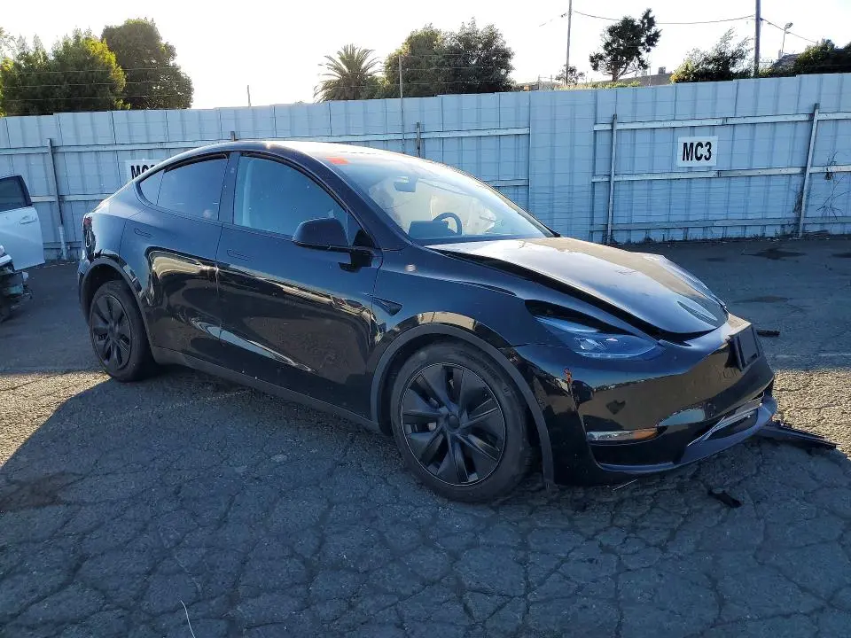 2025 TESLA MODEL Y   