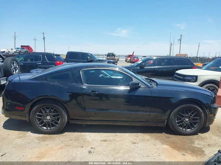 2014 FORD MUSTANG V6/V6 PREMIUM