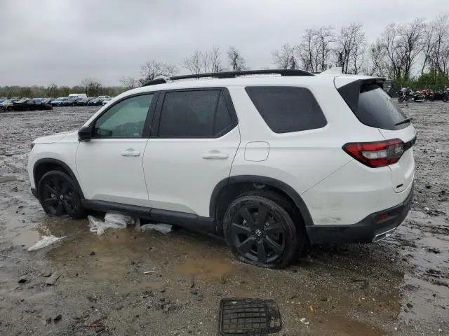 2025 HONDA PILOT SPORT  