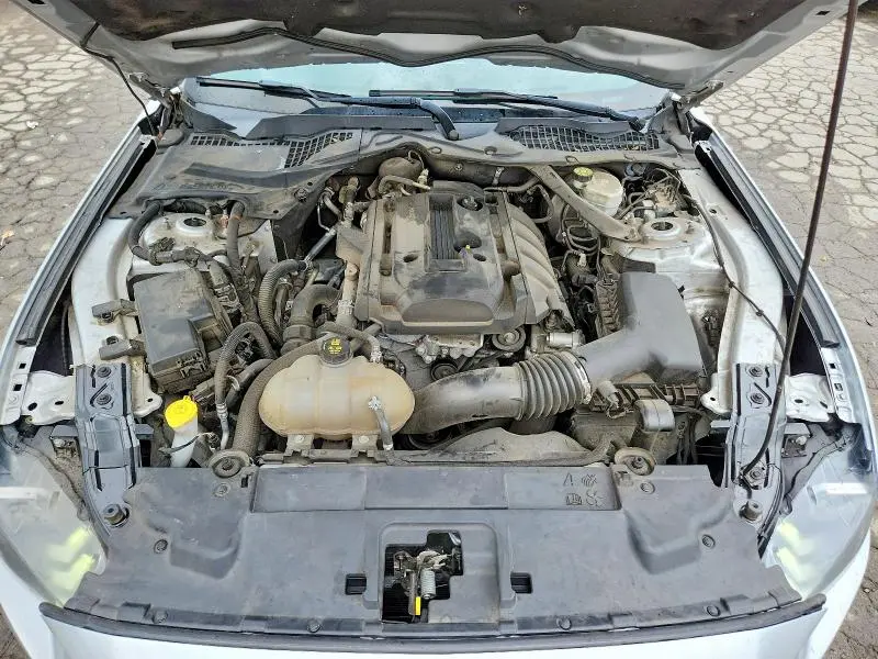 2019 FORD MUSTANG   