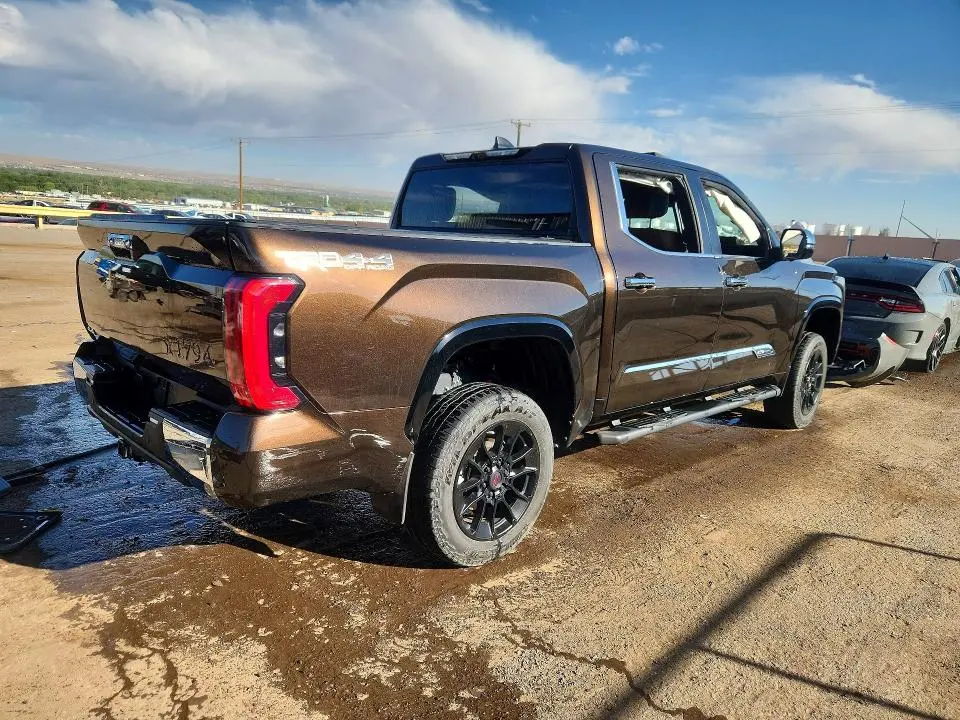 2025 TOYOTA TUNDRA 1794 EDITION  