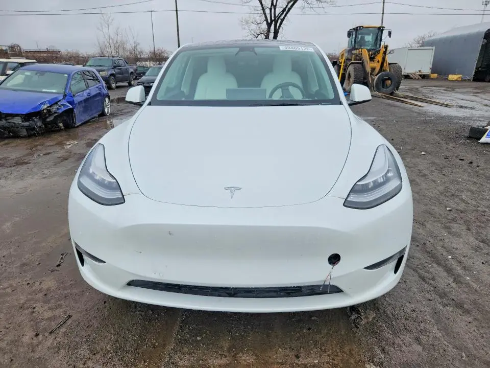 2021 TESLA MODEL Y   