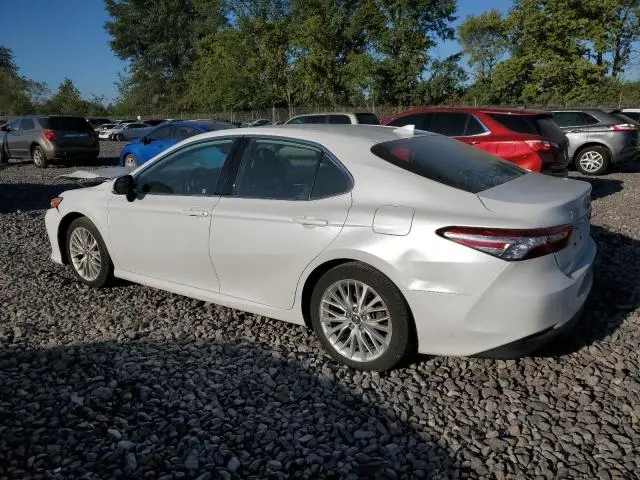2019 TOYOTA CAMRY L  