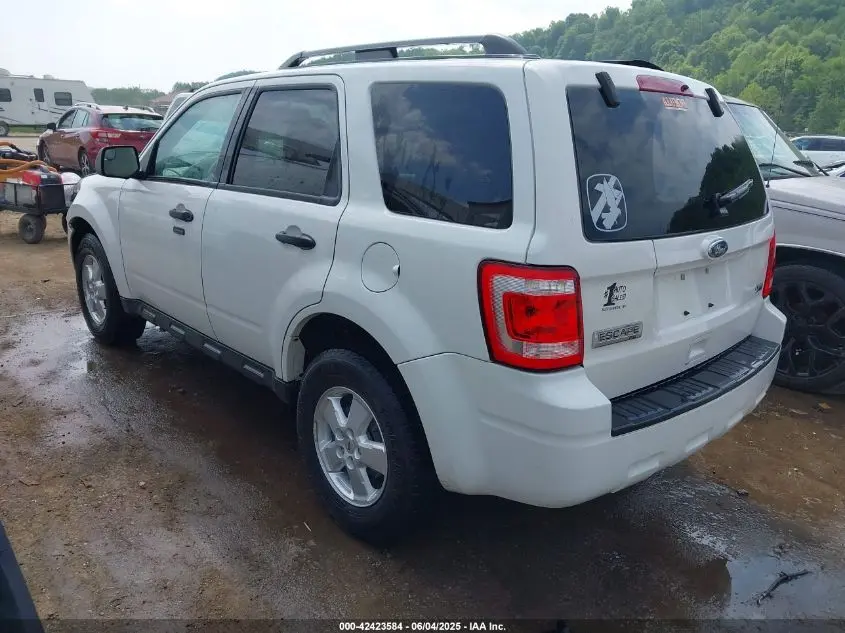 2010 FORD ESCAPE XLT