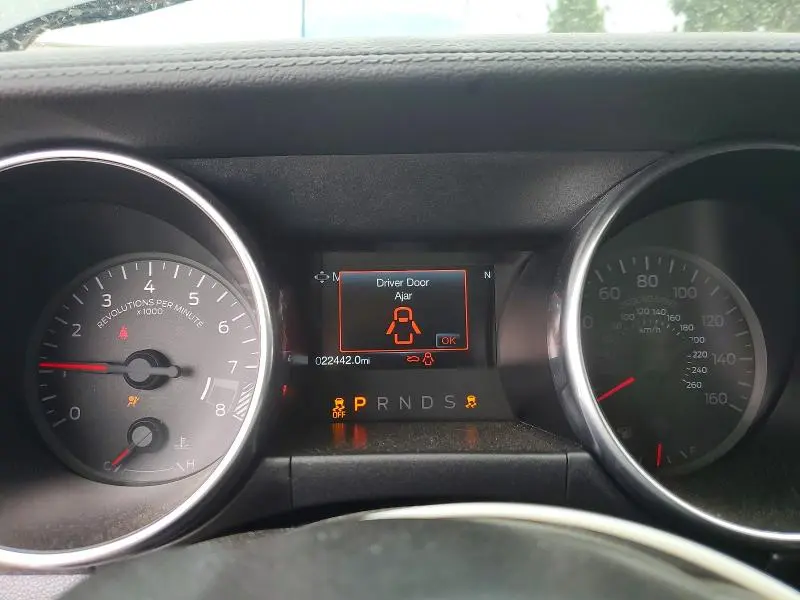 2019 FORD MUSTANG GT  