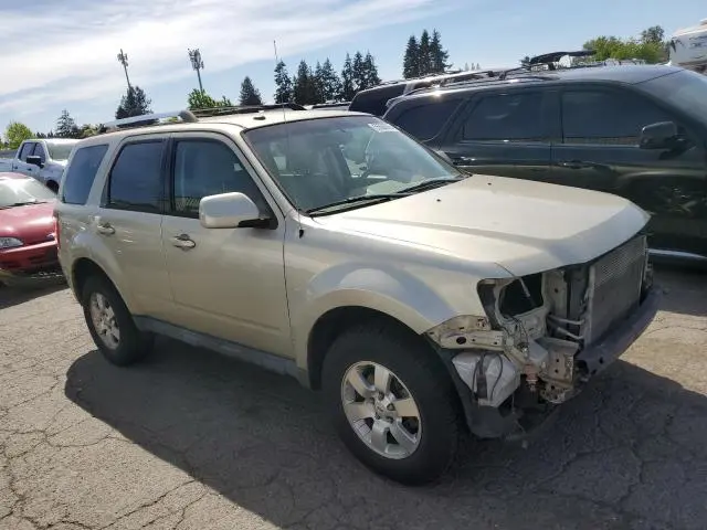 2011 FORD ESCAPE LIMITED  
