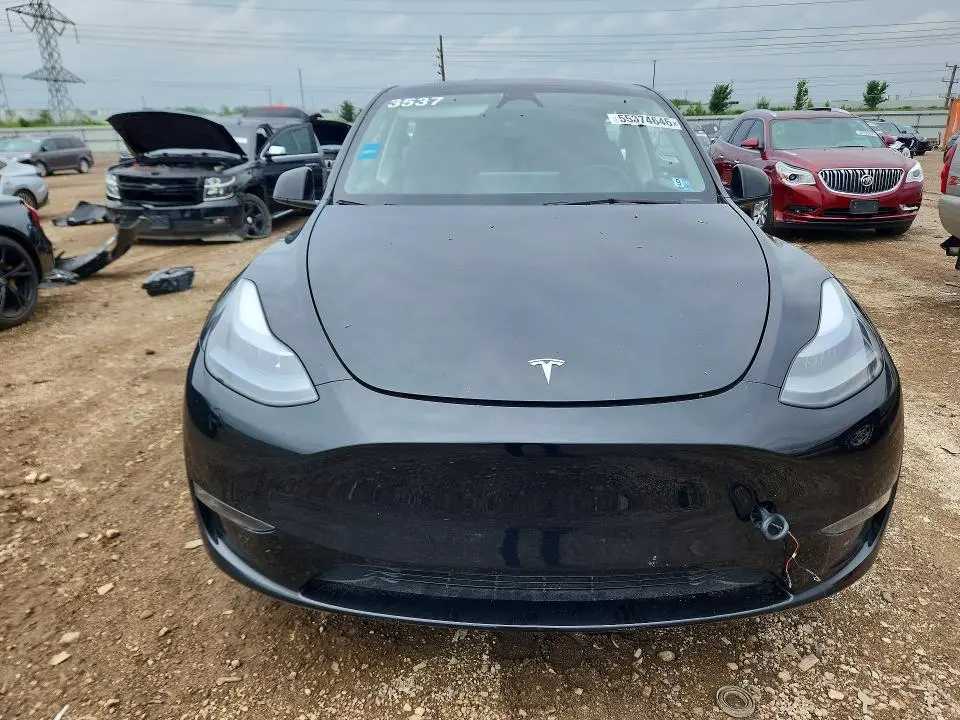 2024 TESLA MODEL Y   