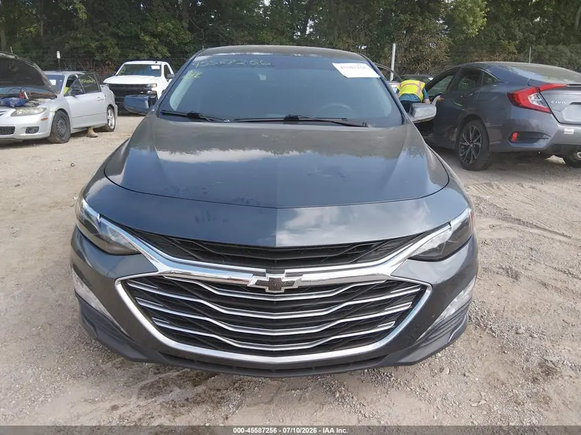 2019 CHEVROLET MALIBU LT