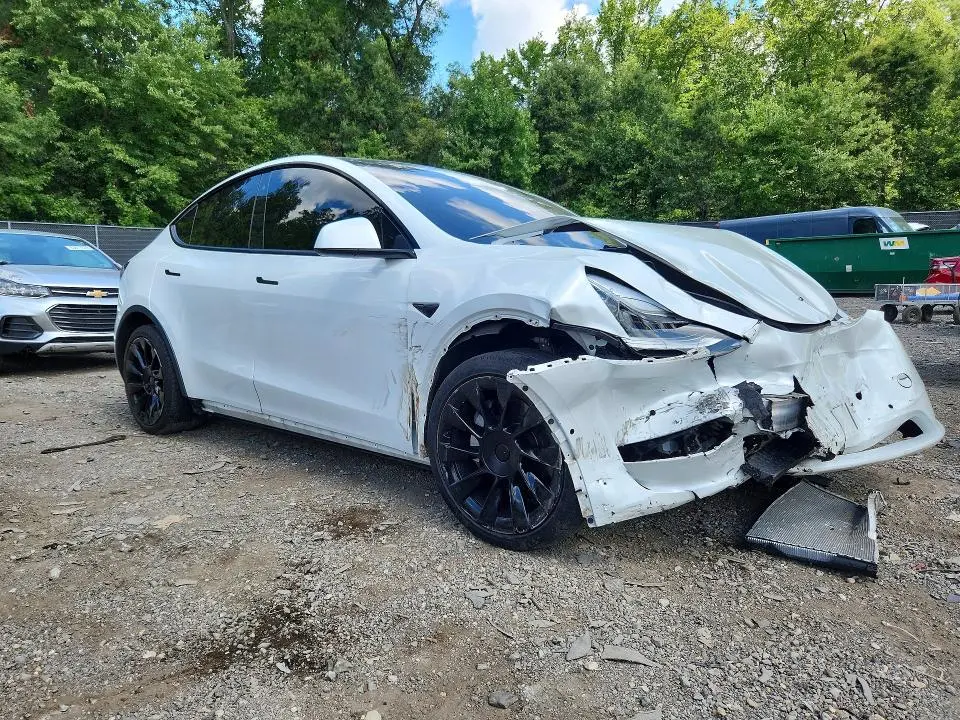 2020 TESLA MODEL Y   