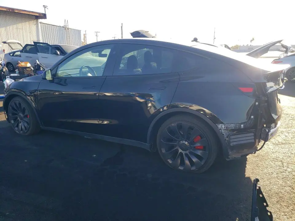 2024 TESLA MODEL Y   