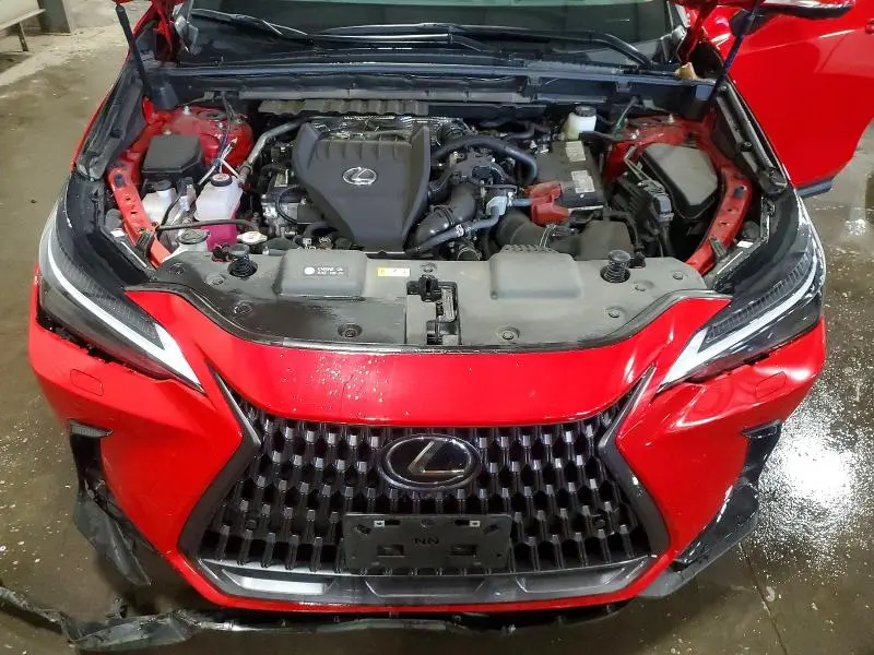 2024 LEXUS NX 350 LUXURY  