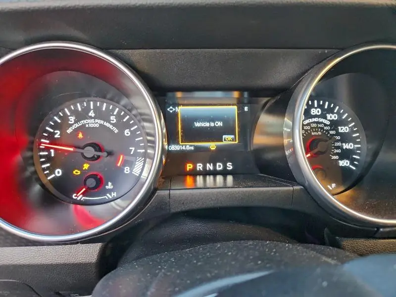 2019 FORD MUSTANG GT  