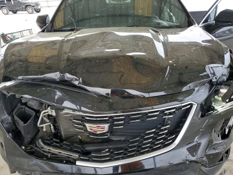 2019 CADILLAC XT4 PREMIUM LUXURY  