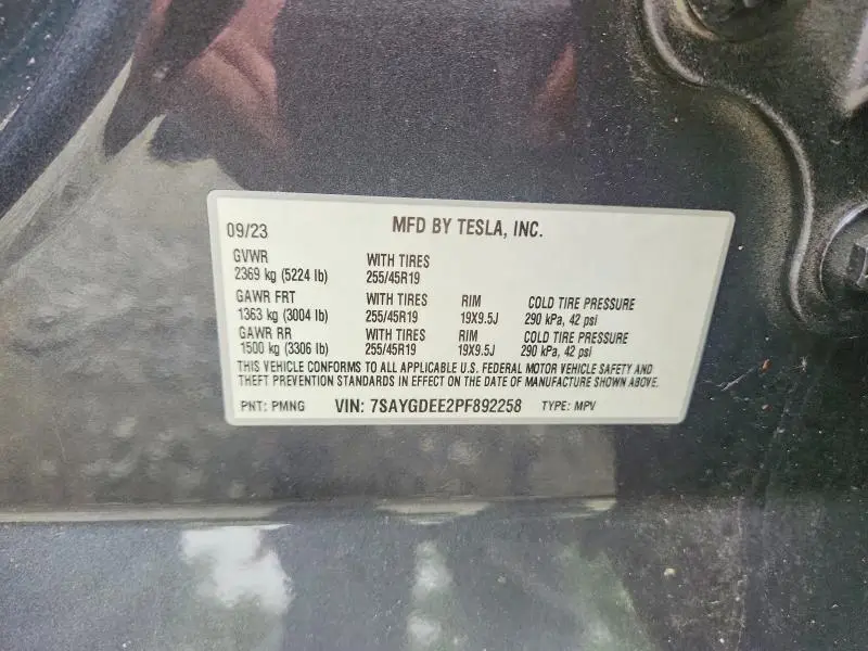 2023 TESLA MODEL Y   