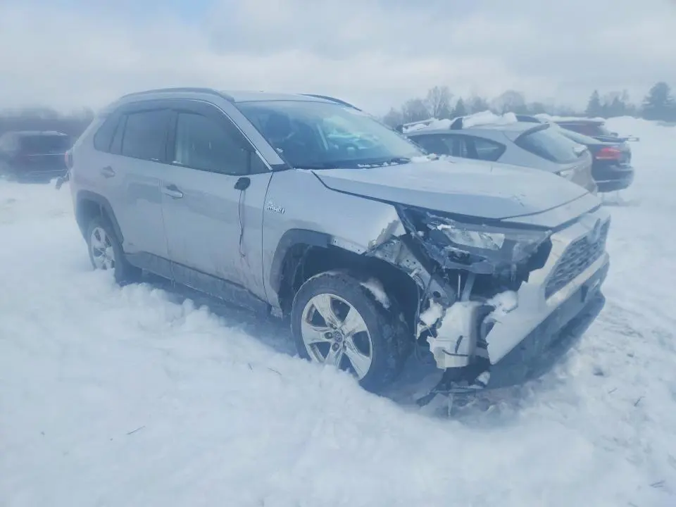2019 TOYOTA RAV4 LE  