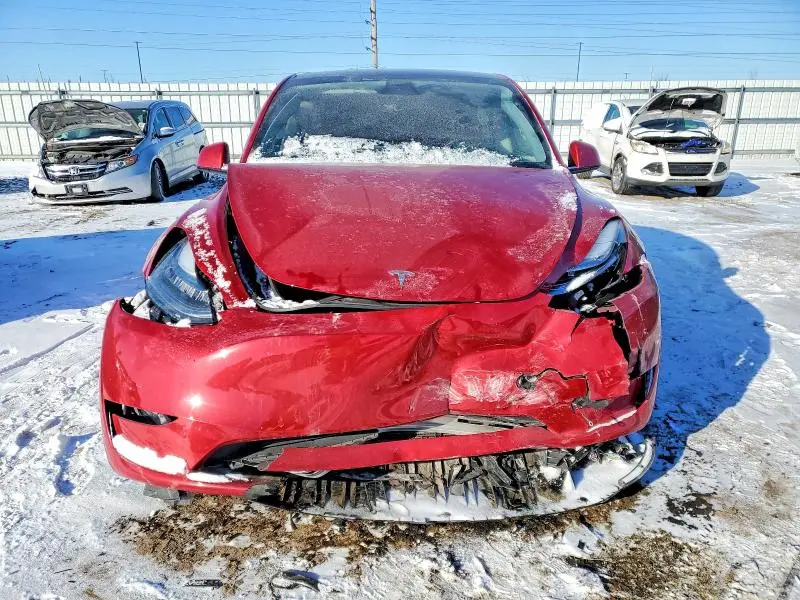 2021 TESLA MODEL Y   