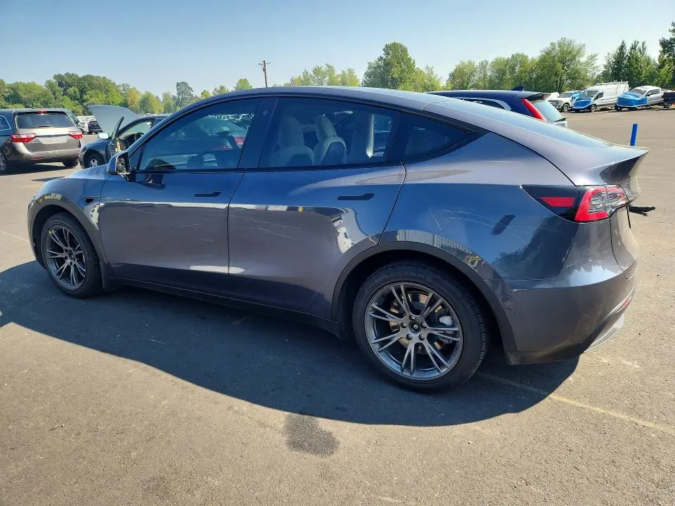 2021 TESLA MODEL Y   
