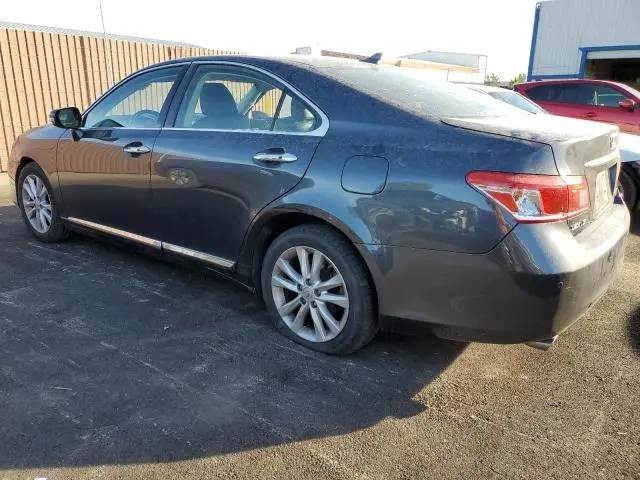 2010 LEXUS ES 350  