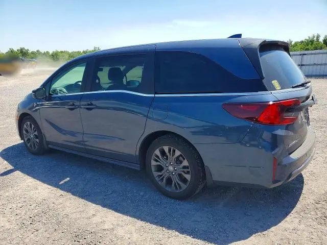 2025 HONDA ODYSSEY TOURING  