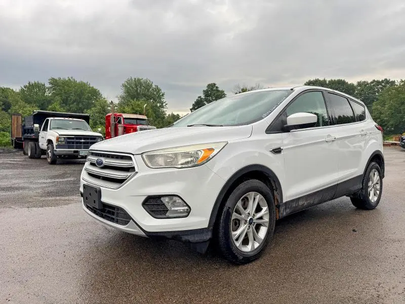 2019 FORD ESCAPE SE  