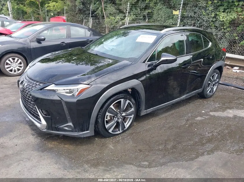 2019 LEXUS UX 200  
