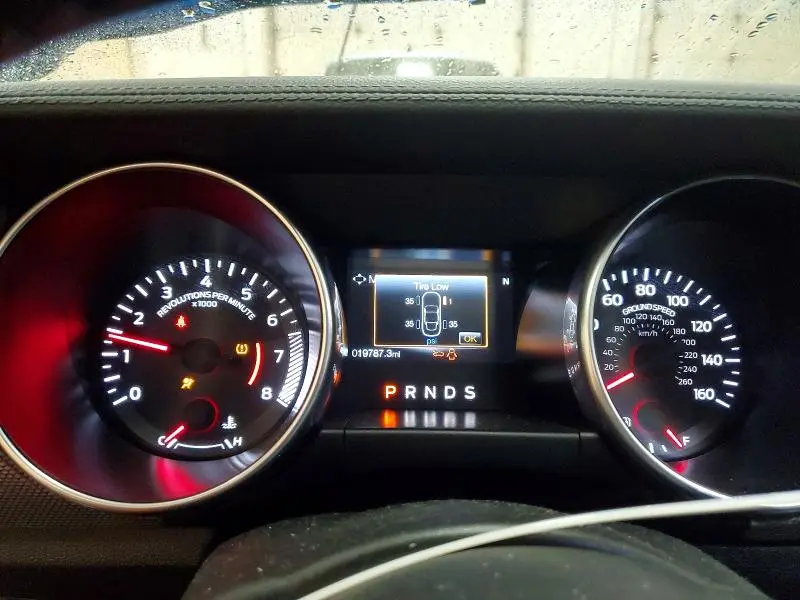 2019 FORD MUSTANG   
