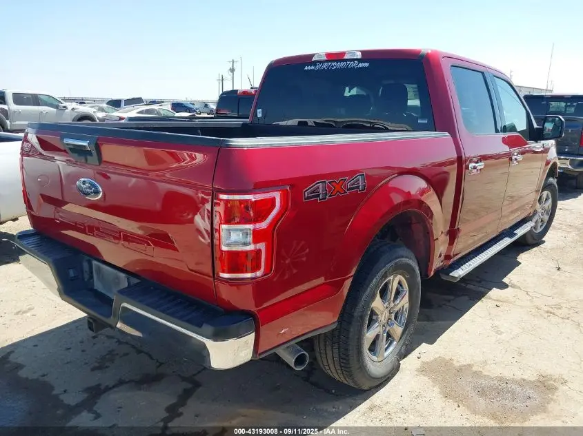 2019 FORD F-150 XLT
