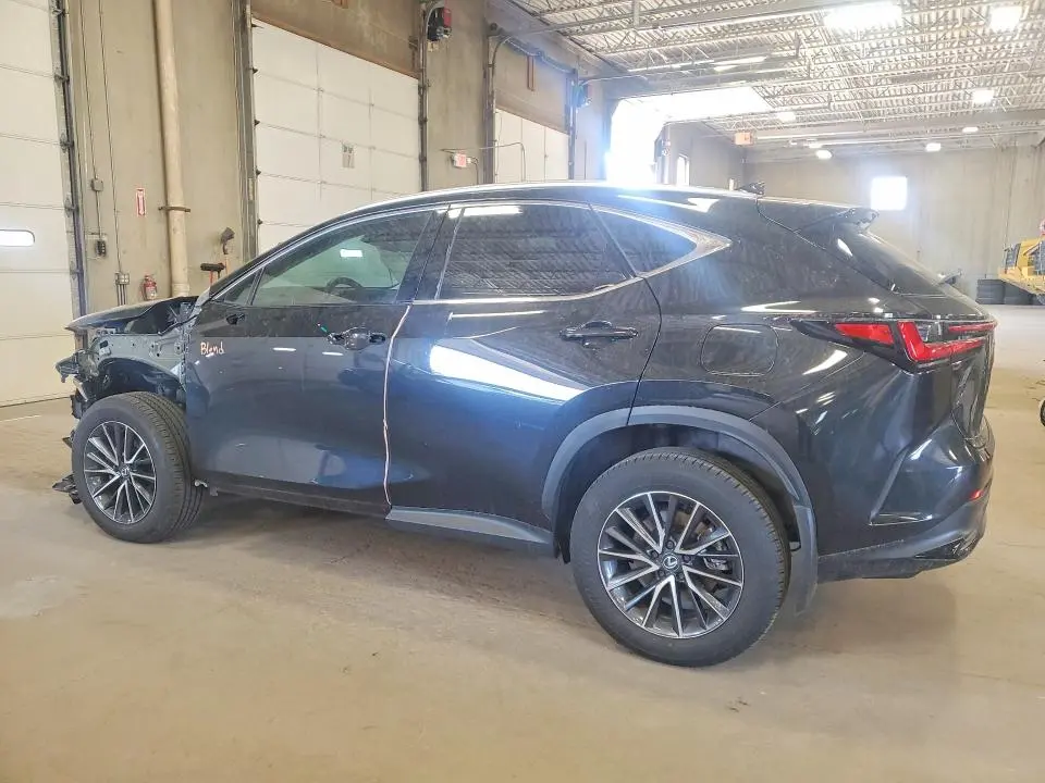 2025 LEXUS NX 350 LUXURY  