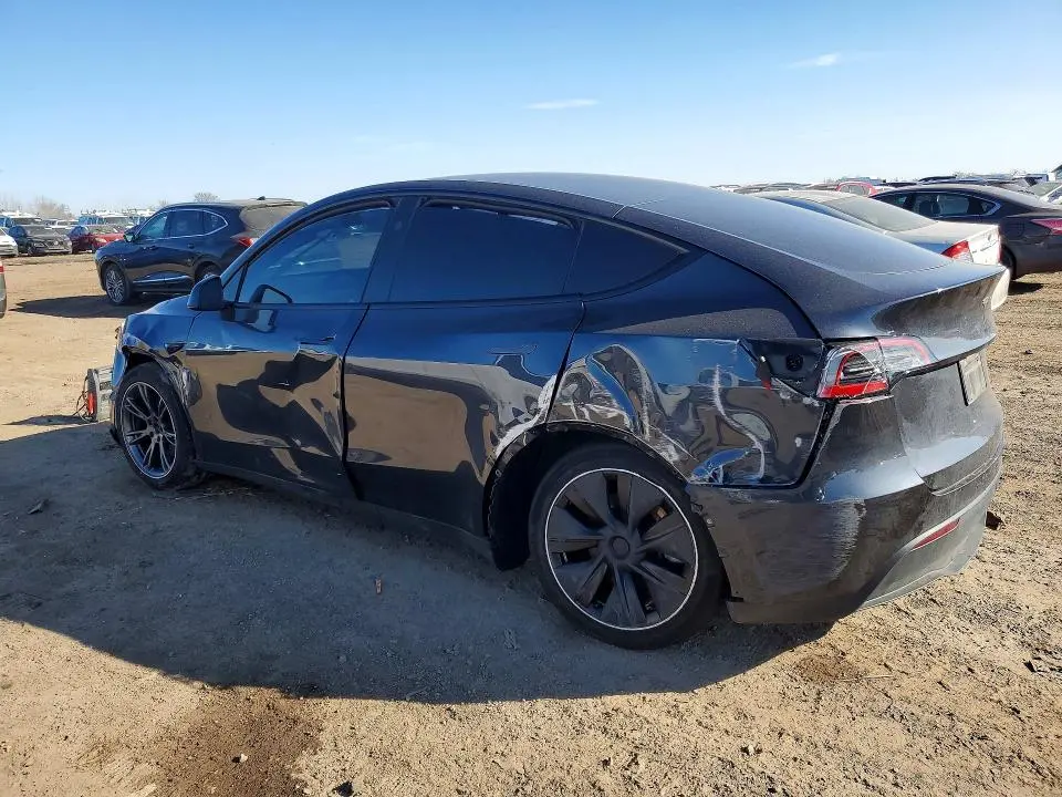 2025 TESLA MODEL Y   