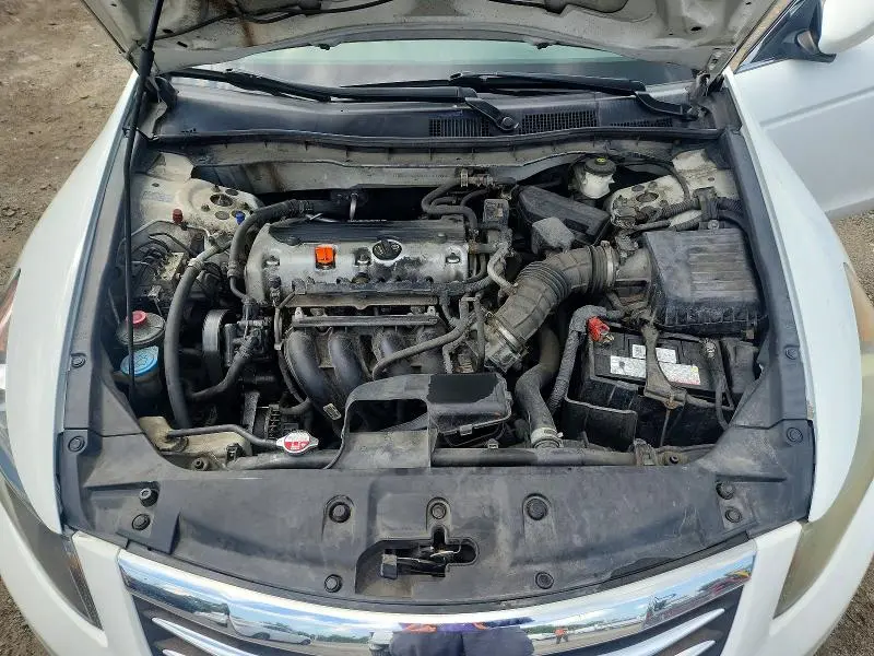 2011 HONDA ACCORD SE  