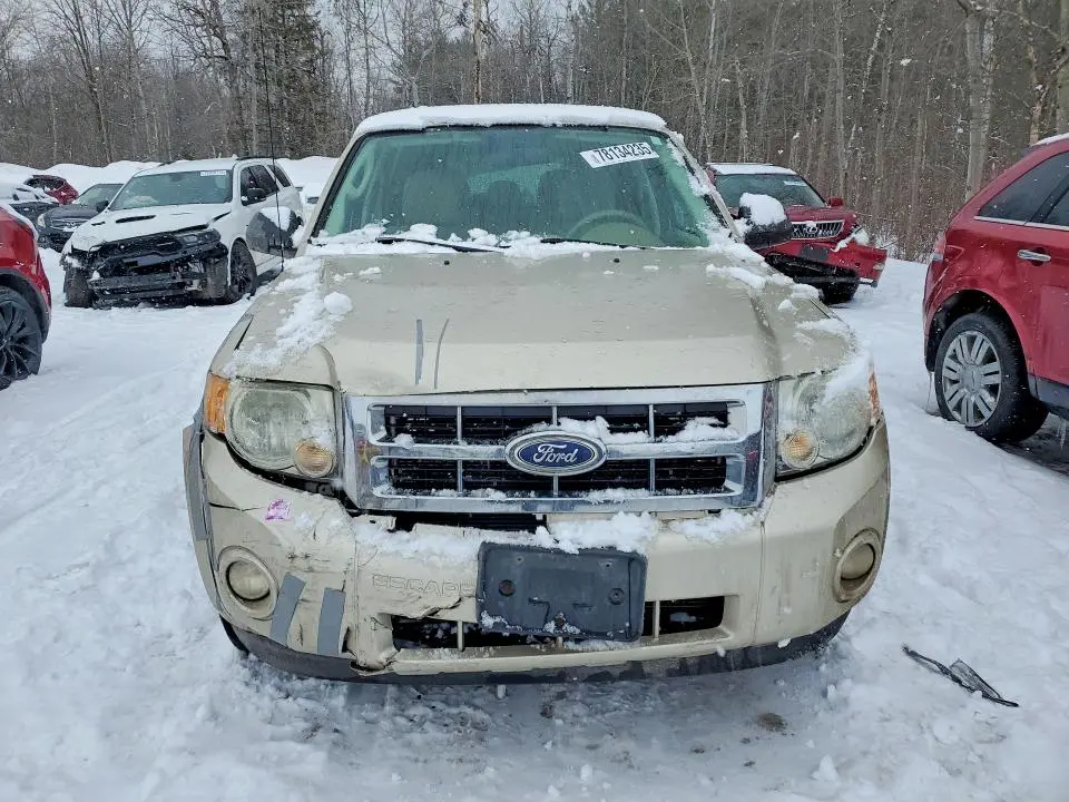 2011 FORD ESCAPE XLT  