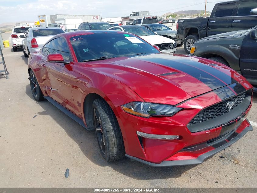 2019 FORD MUSTANG ECOBOOST