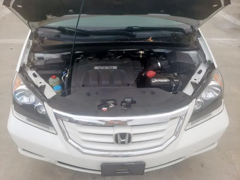 2010 HONDA ODYSSEY EXL