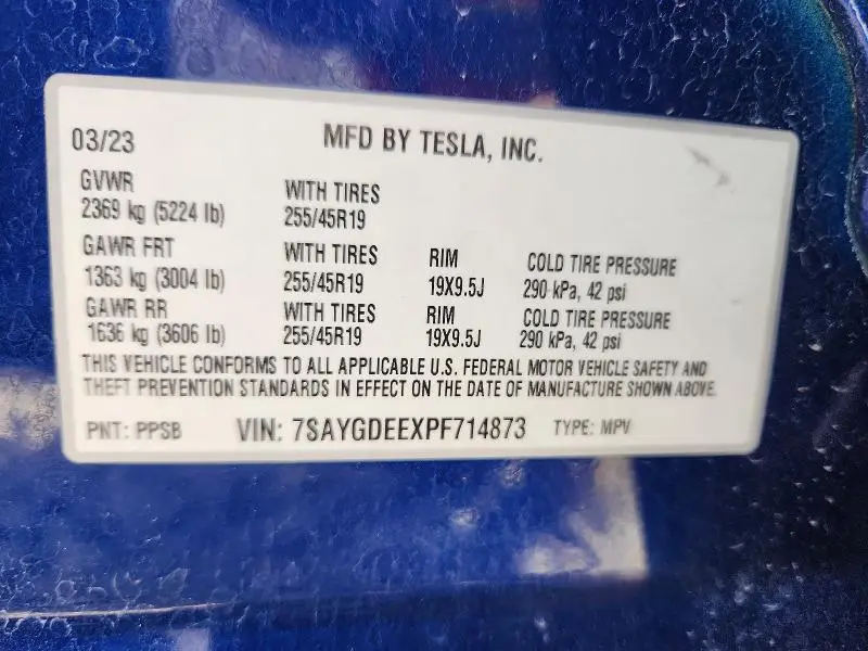 2023 TESLA MODEL Y   