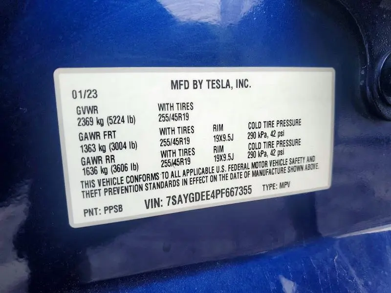 2023 TESLA MODEL Y   