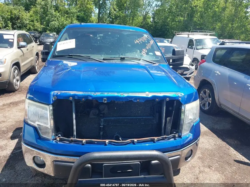 2010 FORD F-150 XL/XLT